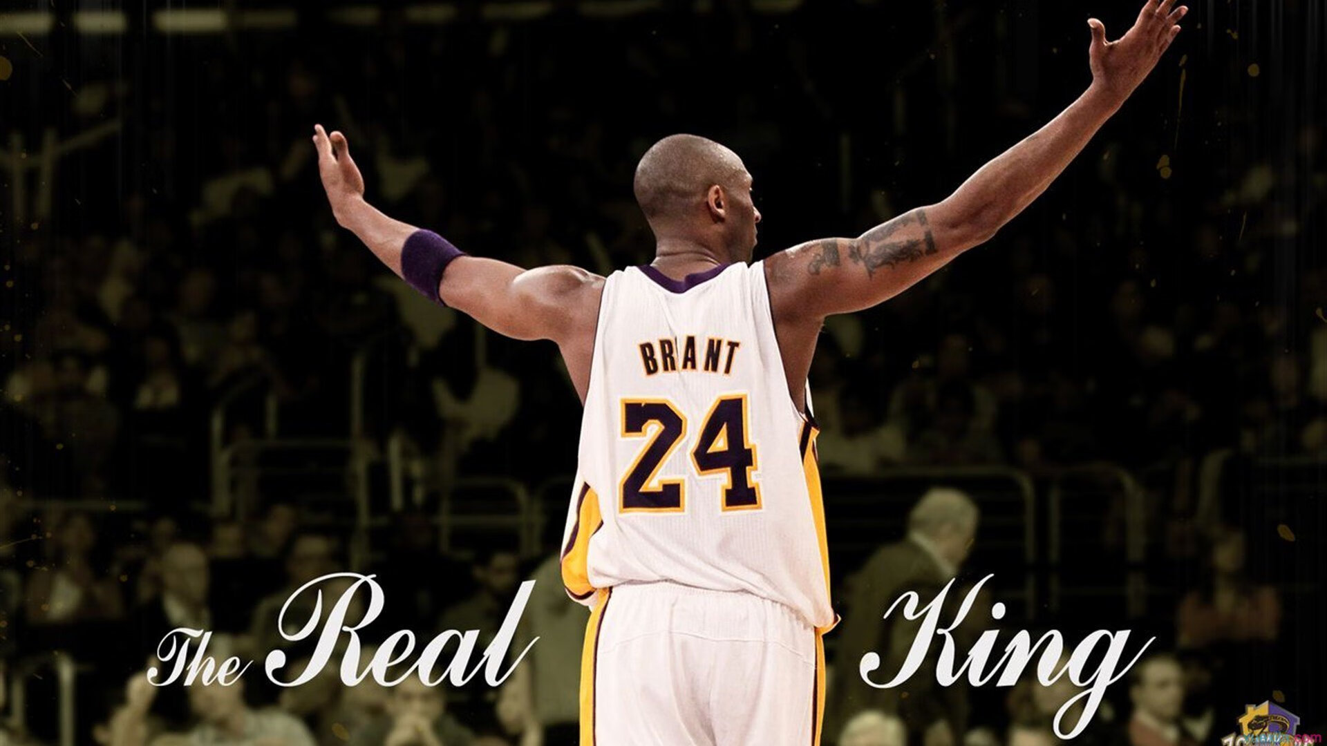 CBA球队逐步优化阵容结构